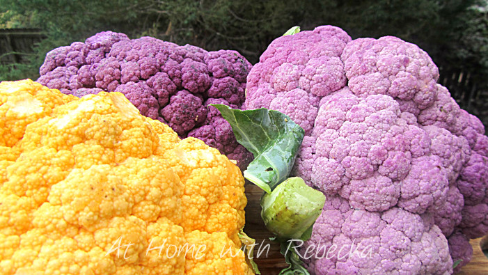 PurpleYellowCauliflower