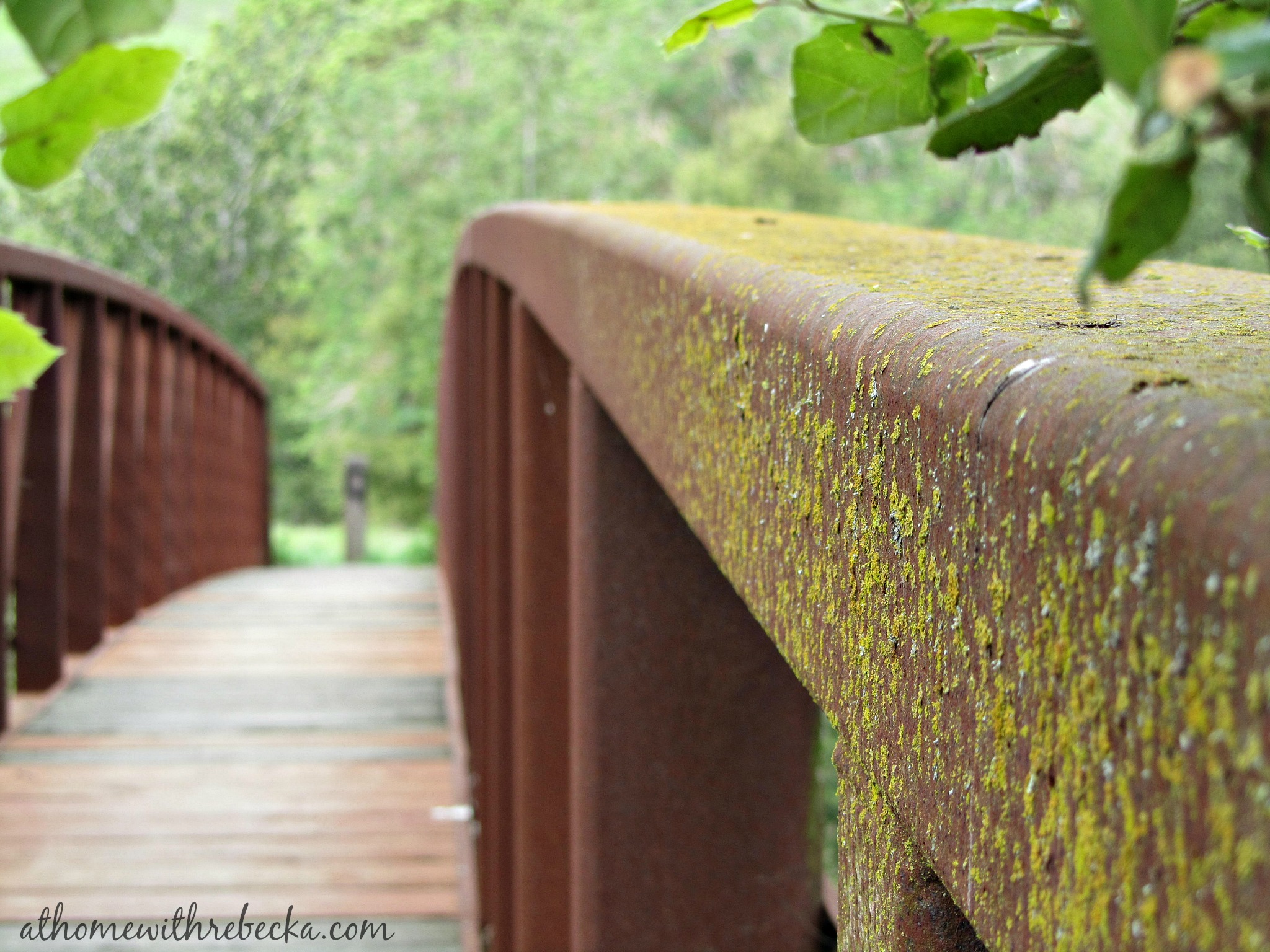 bec and bridge green set