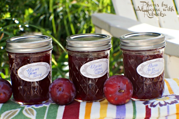 Canning Plum Jam