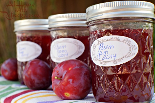 Plum Jam - Canning plum jam is easy, fun, and leads to delicious plum recipes! Learning to can fresh plums will give you the opportunity to enjoy them all year long!