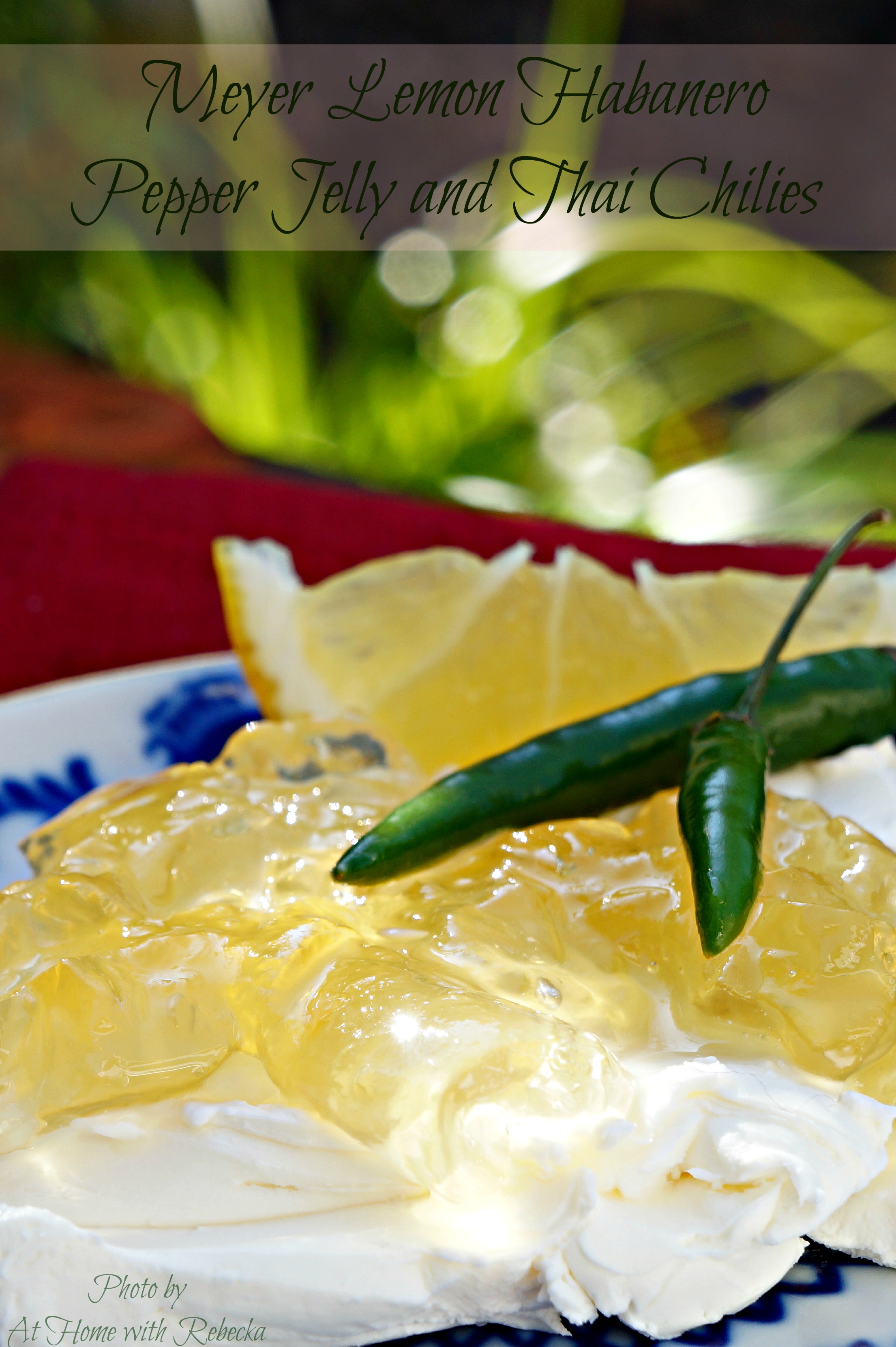 Meyer Lemon Habanero Pepper Jelly...Quite possibly the best jelly I've ever had!! Super spicy, and sweet with a crisp lemon finish; a simply exquisite jelly!