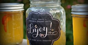 Meyer Lemon Habanero Pepper Jelly...Quite possibly the best jelly I've ever had!!