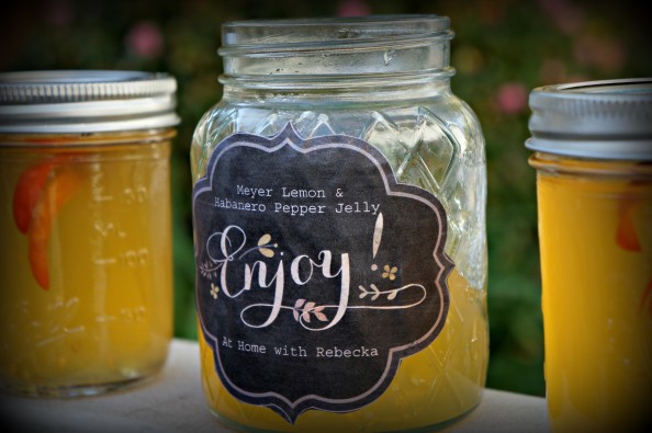 Meyer Lemon Habanero Pepper Jelly