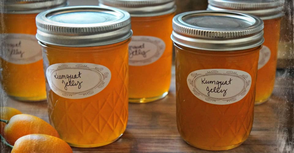 Sweet and Tart California Kumquat Jelly