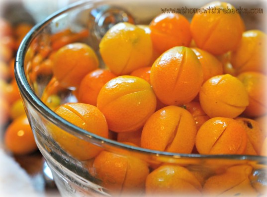 Kumquats