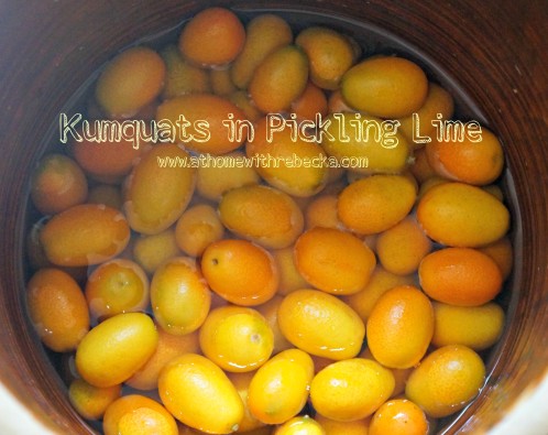 Kumquats in pickling lime