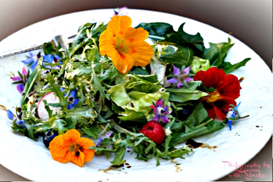 Edible Flower Salad-Herb Vinaigrette