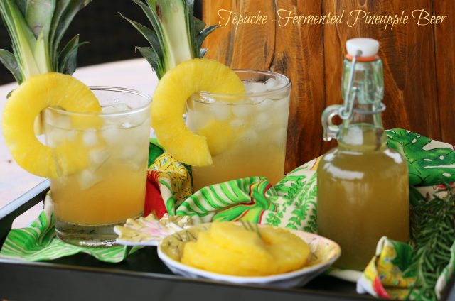 Tepache Fermented Pineapple Beer